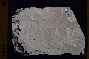 Cross Polarized, E29361