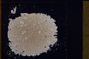 Cross Polarized, E29362