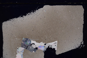 Cross Polarized, E29363