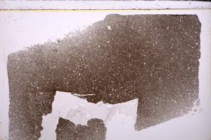 Plane Polarized, E29363