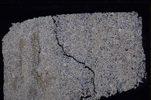 Cross Polarized, E29364