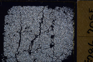 Cross Polarized, E29365