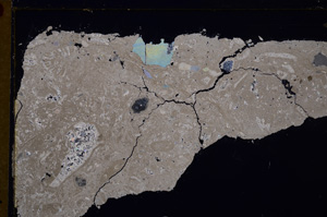 Cross Polarized, E29367