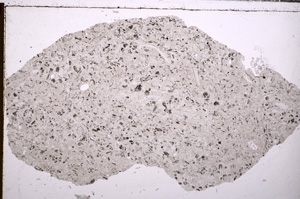 Plane Polarized, E29371