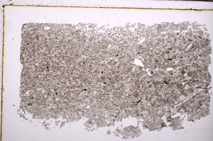 Plane Polarized, E29372