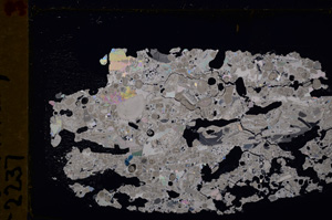 Cross Polarized, E29374