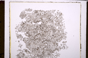 Plane Polarized, E29376