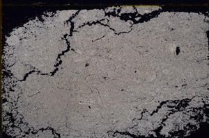 Cross Polarized, E29377