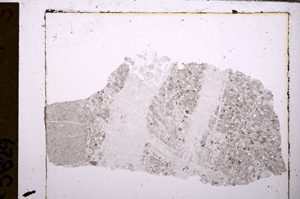 Plane Polarized, E29384