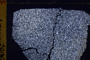 Cross Polarized, E29387