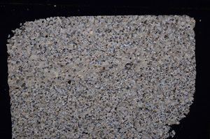 Cross Polarized, E29392