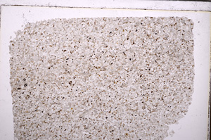 Plane Polarized, E29392