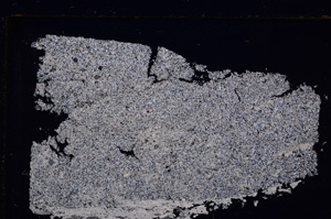 Cross Polarized, E29394