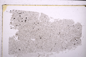 Plane Polarized, E29394