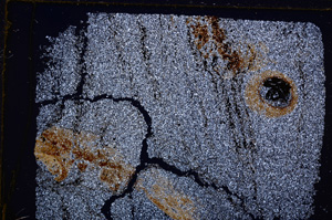 Cross Polarized, E29396