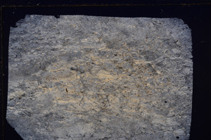 Cross Polarized, E29397