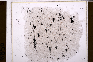 Plane Polarized, E29398