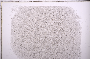 Plane Polarized, E29400