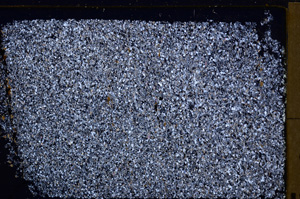 Cross Polarized, E29401