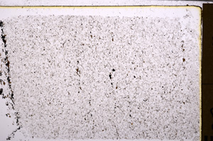 Plane Polarized, E29401