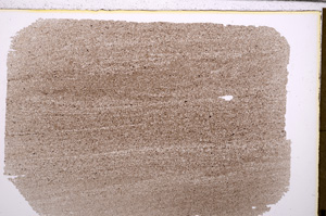 Plane Polarized, E29402