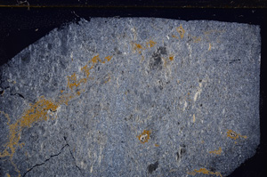 Cross Polarized, E29403