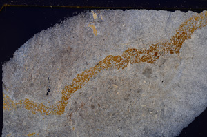 Cross Polarized, E29404