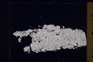 Cross Polarized, E29422