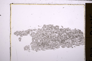 Plane Polarized, E29422