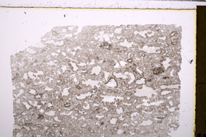 Plane Polarized, E29423