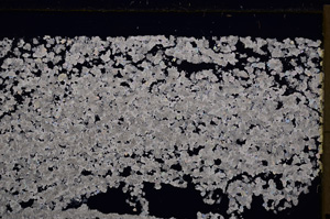 Cross Polarized, E29424