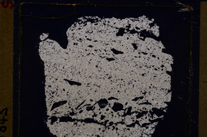 Cross Polarized, E29425