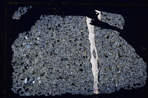 Cross Polarized, E29426