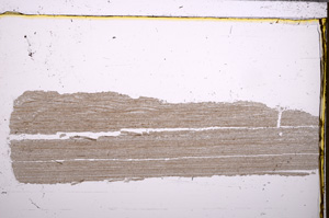 Plane Polarized, E29477