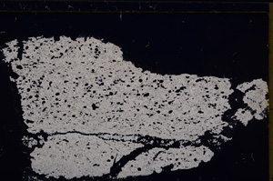 Cross Polarized, E29487