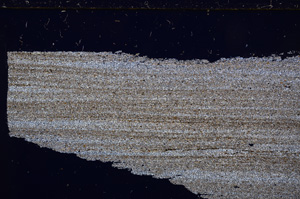 Cross Polarized, E29558