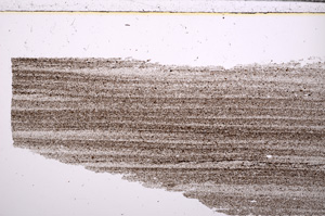 Plane Polarized, E29558