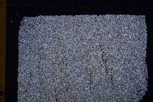 Cross Polarized, E29563