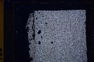 Cross Polarized, E29570