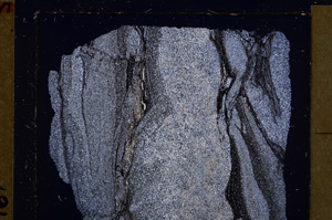 Cross Polarized, E29573