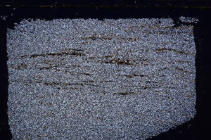 Cross Polarized, E29574