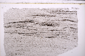 Plane Polarized, E29574