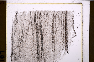 Plane Polarized, E29581