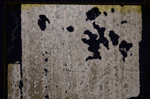 Cross Polarized, E29584