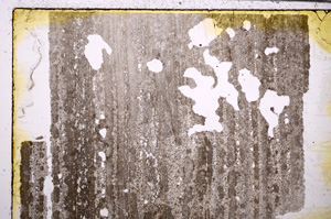 Plane Polarized, E29584