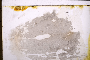Plane Polarized, E29585