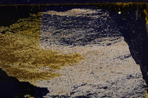 Cross Polarized, E29586