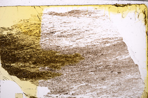 Plane Polarized, E29586