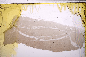 Plane Polarized, E29588