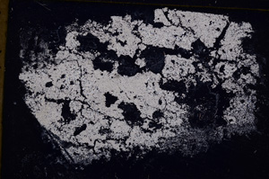 Cross Polarized, E29589